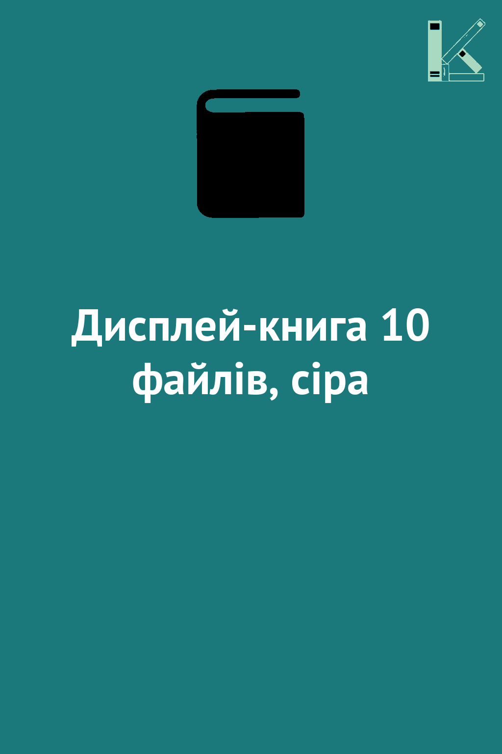 Дисплей-книга 10 файлів, сіра